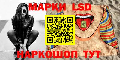 амф Сланцы