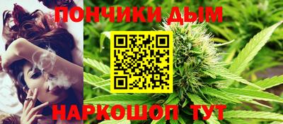 амф Сланцы
