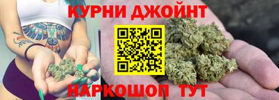 амф Сланцы
