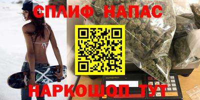 спиды Славгород