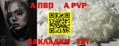 амф Сланцы