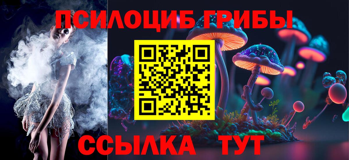 Псилоцибиновые грибы Cubensis  Галлюциногенные грибы Psilocybe  Орехово-Зуево  Вход с VPN 