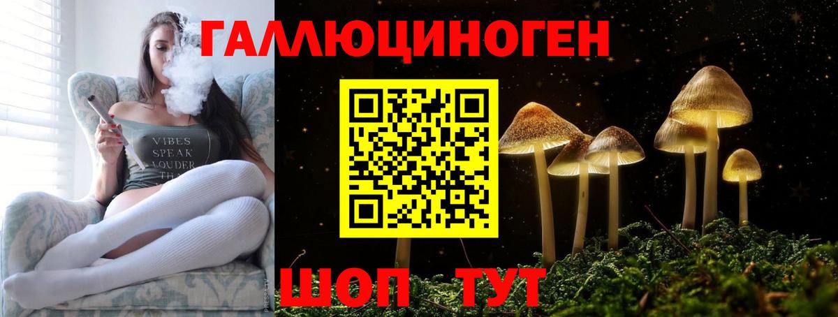 Галлюциногенные грибы Psilocybe Орехово-Зуево
